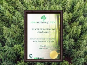 Framed Irish Heritage Tree Certificate