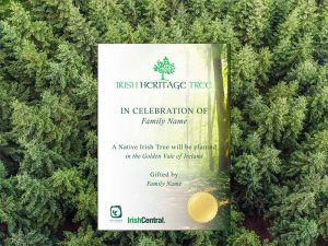 Unframed Irish Heritage Tree Certificate